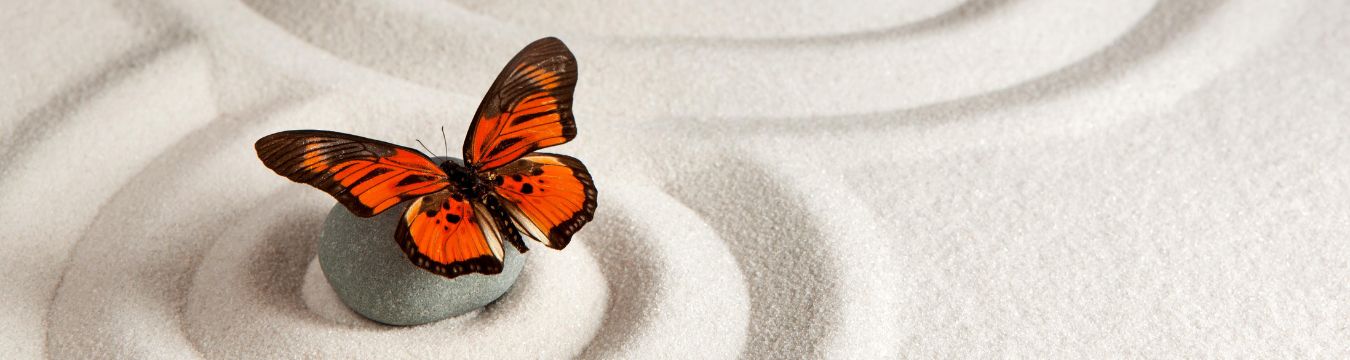 Traumatherapie_ Header